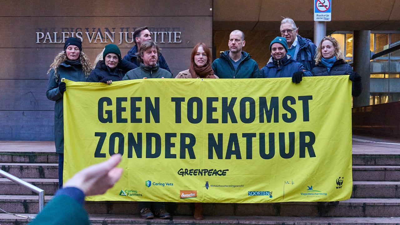 Rechter stelt Greenpeace in het gelijk: Staat moet stikstofdoel 2030 halen