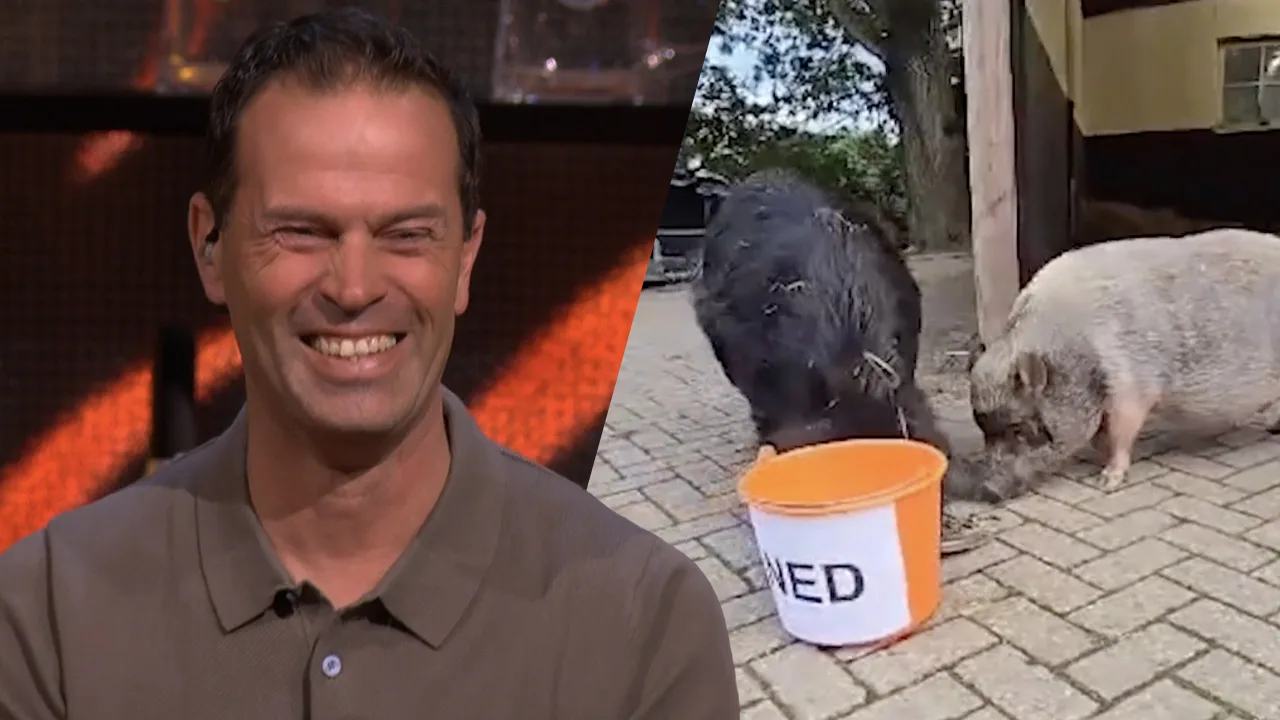 De varkens van Bas Nijhuis voorspellen de uitslag van Roemenië - Nederland