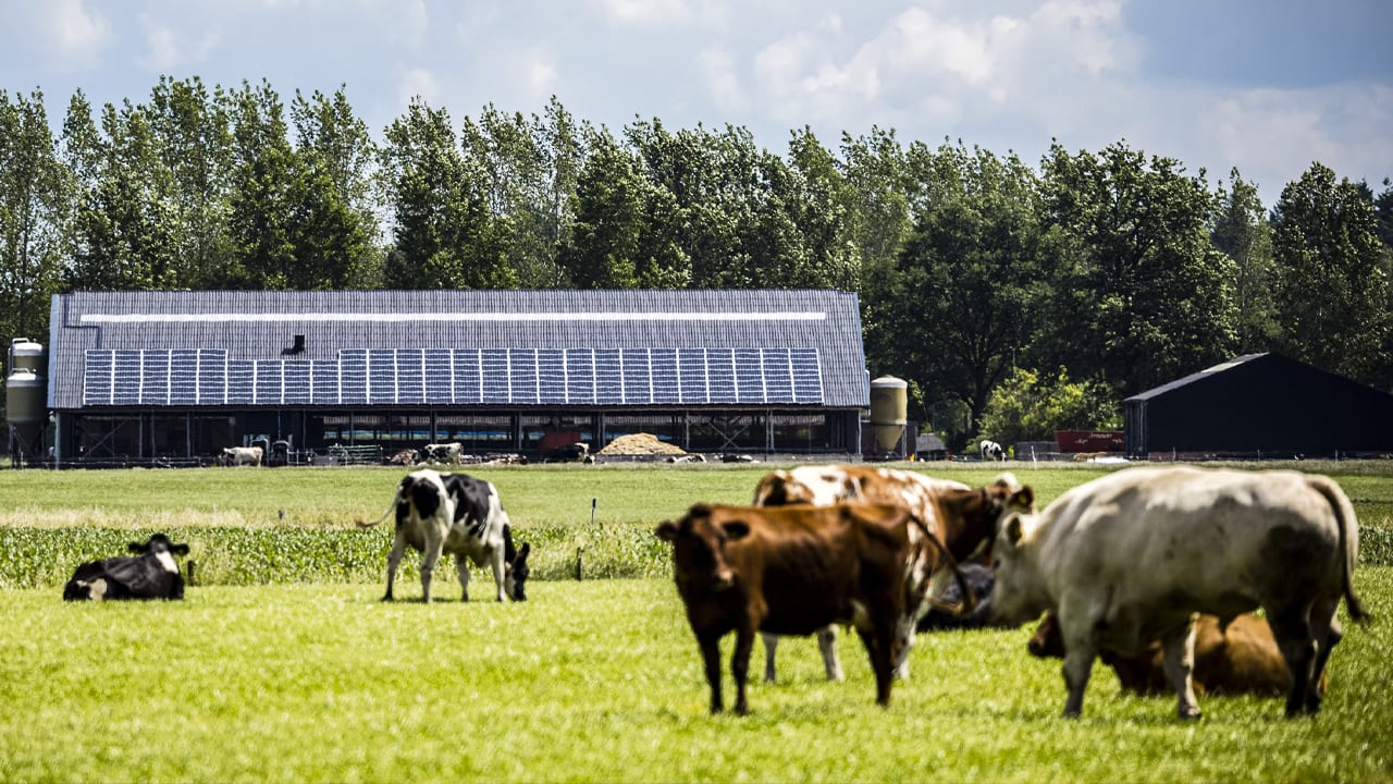 Landbouw en overheden komen met gezamenlijk plan om Nederland van stikstofslot te krijgen