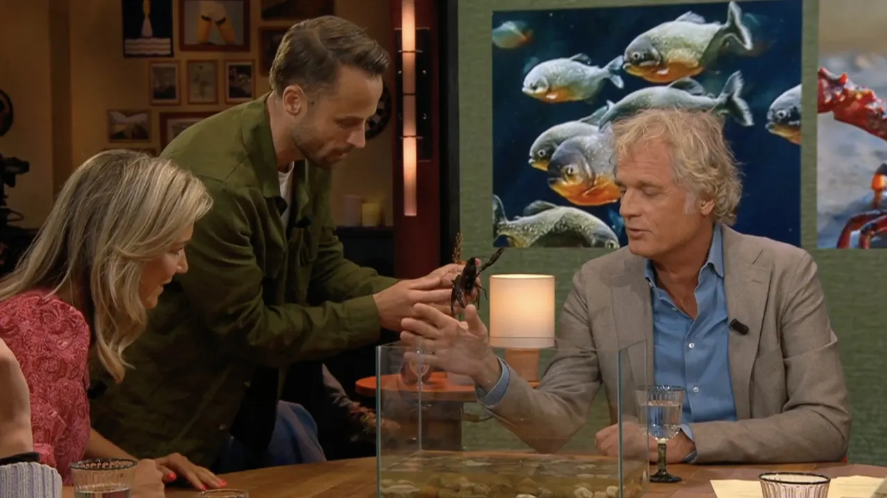 Jeroen Pauw laat zich live bij Bar Laat knijpen door rivierkreeft