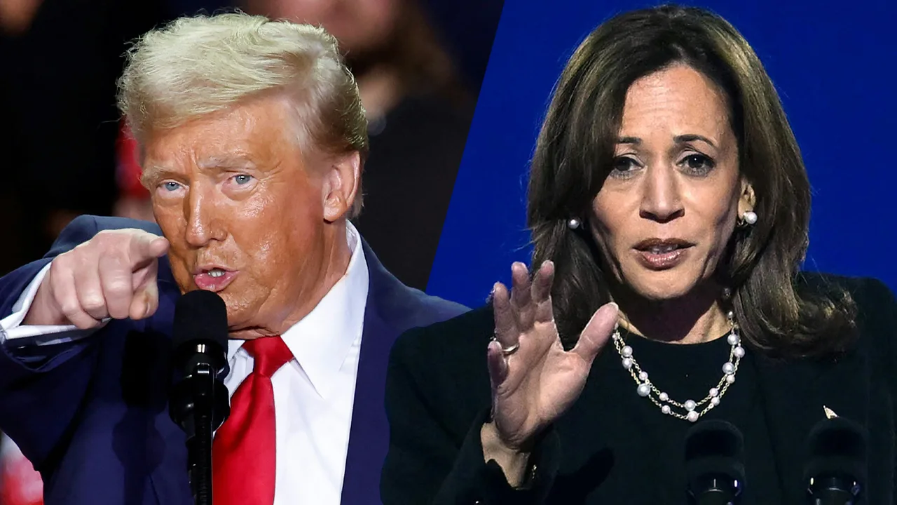 Verenigde Staten naar de stembus voor presidentsverkiezingen