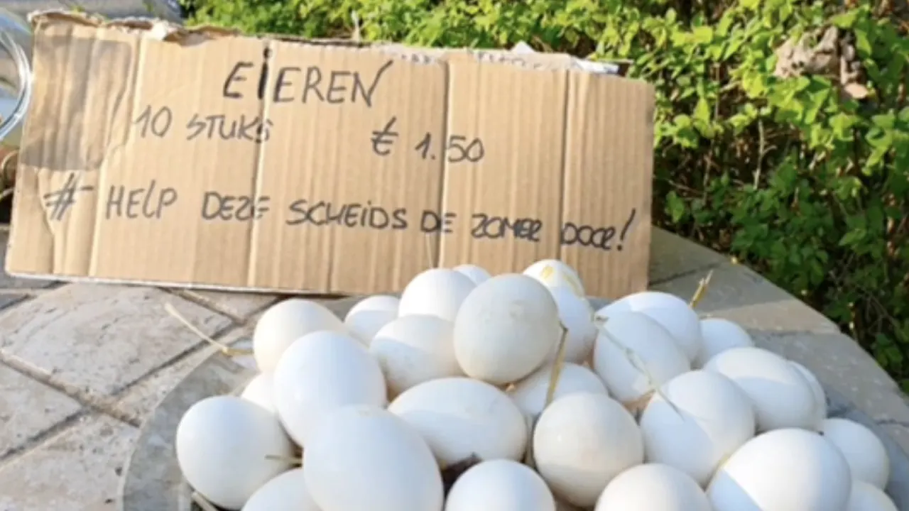 Bas Nijhuis verkoopt eieren om overeind te blijven: 'Help deze scheids de zomer door'