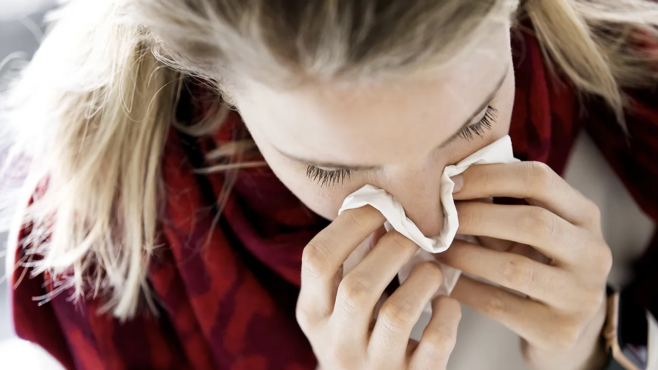 'Met hooikoorts achter het stuur net zo gevaarlijk als rijden met alcohol op'