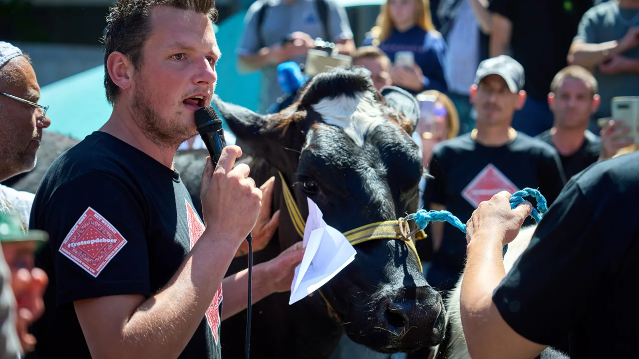 'Boeren dreigen meegenomen koe Klaartje of Betsie te slachten als Kamer instemt met stikstofplannen'