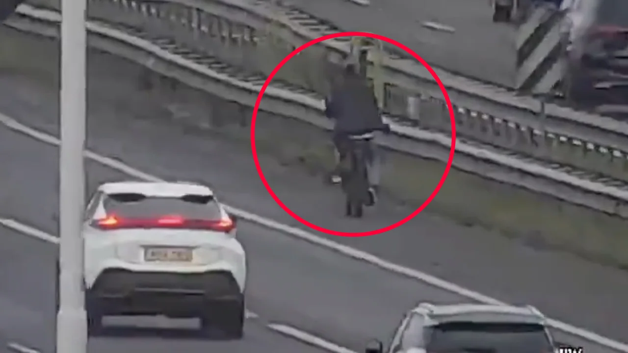 Bizarre beelden: Fatbiker rijdt over snelweg A16 bij Rotterdam