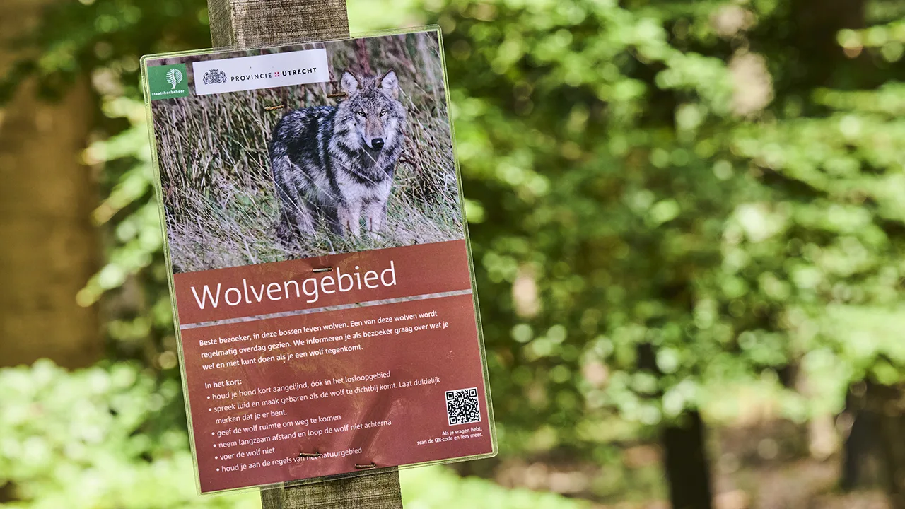 DNA-test bevestigt: probleemwolf Bram is doodgeschoten