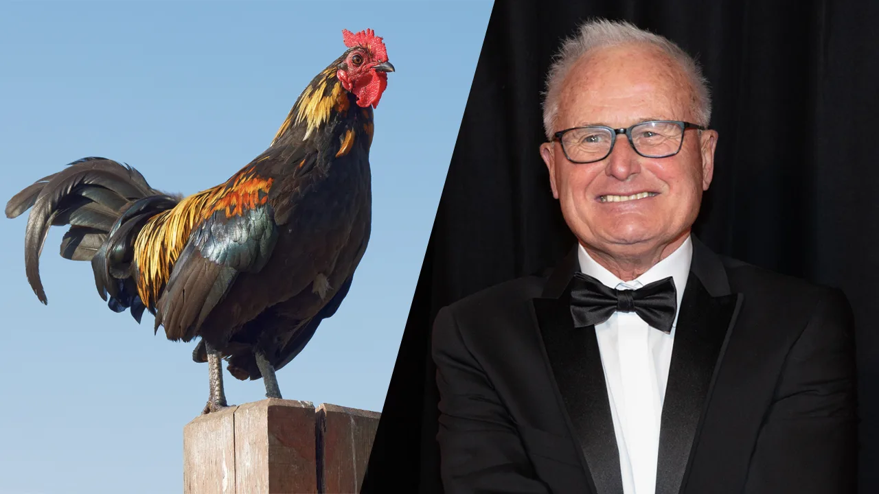 BREAKING: Nieuwslezer Jan de Hoop vernoemt nieuwe haan naar Foppe de Haan