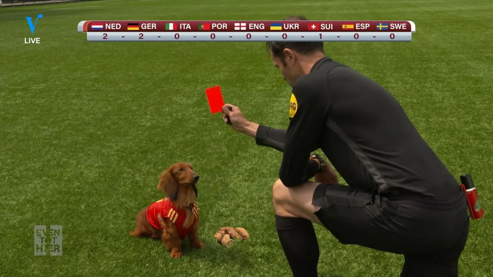 René ziet hondenscheidsrechter Bas: 'Hij gebruikt toch iets?'