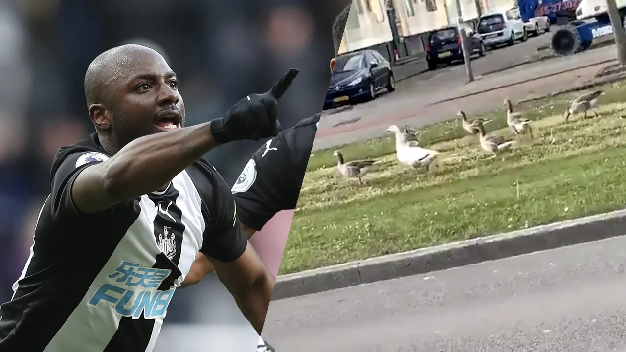 Jetro Willems ziet overtreders van coronamaatregelen en waarschuwt politie Rotterdam