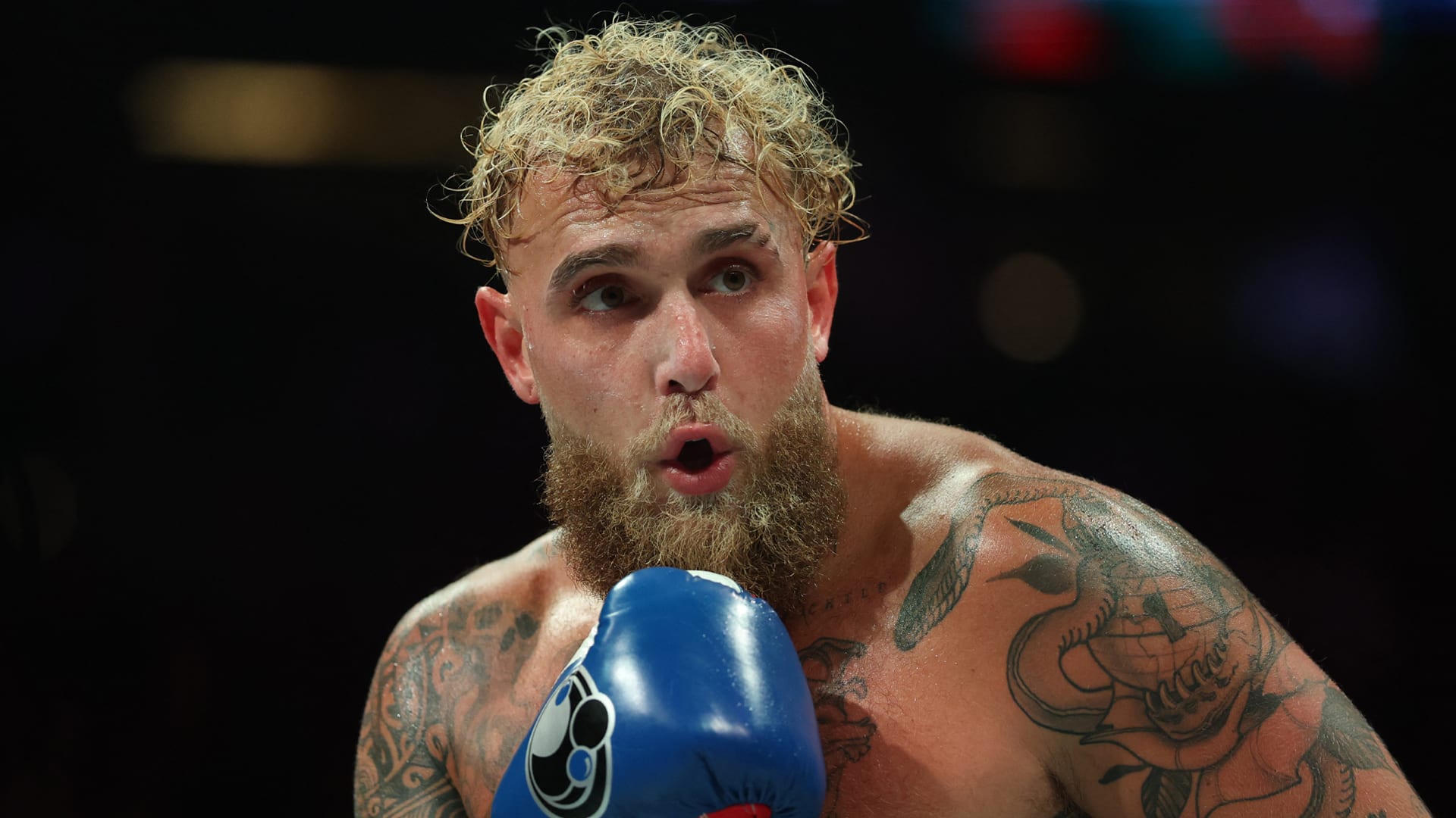 Deze wereldkampioen boksen wordt de volgende tegenstander van Jake Paul