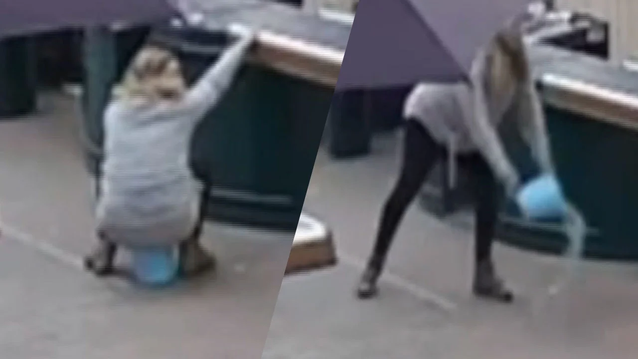 Bizarre actie: vrouw plast in emmer bij tuincentrum en gooit hem leeg onder de kassa