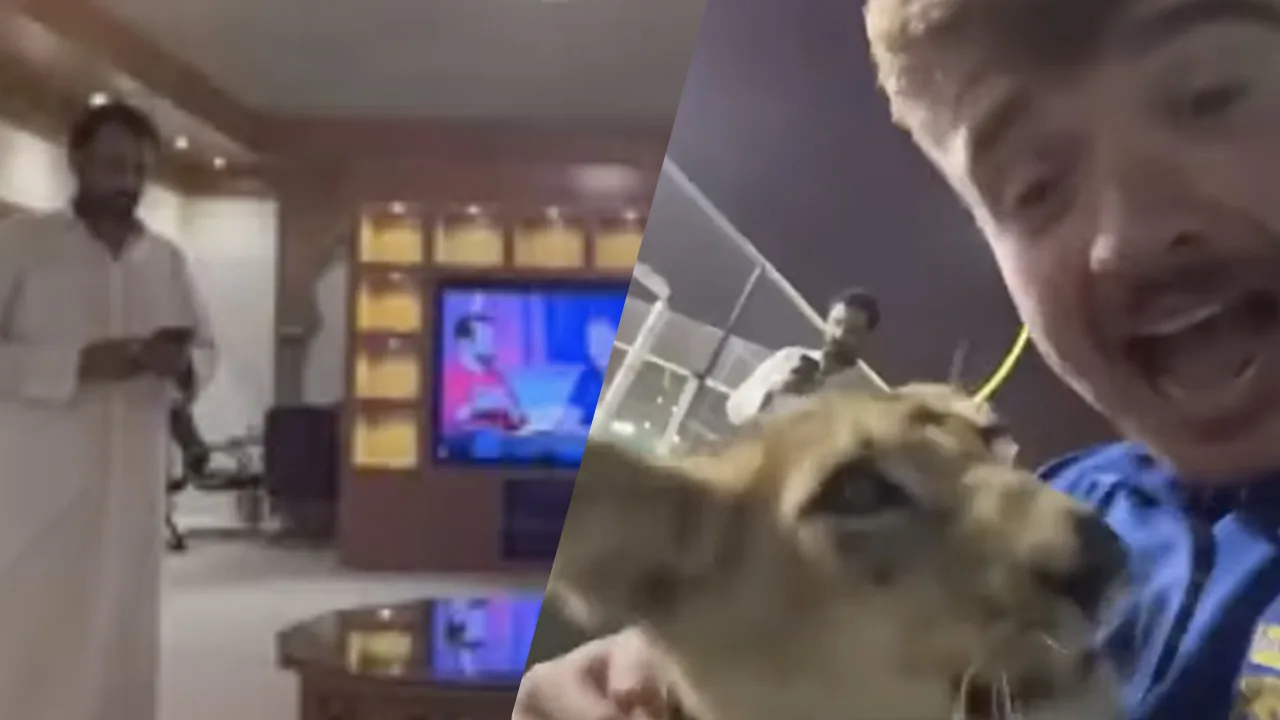 Britse fans eindigen in zoektocht naar bier bij Qatarese Sjeik met leeuw