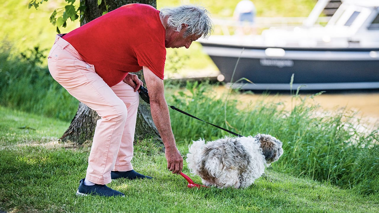 Franse stad is hondenpoep spuugzat en wil daders opsporen met DNA-test