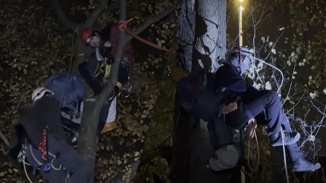 Actievoerders zitten al sinds vrijdagavond in bomen tegen verbreding A2 in Limburg