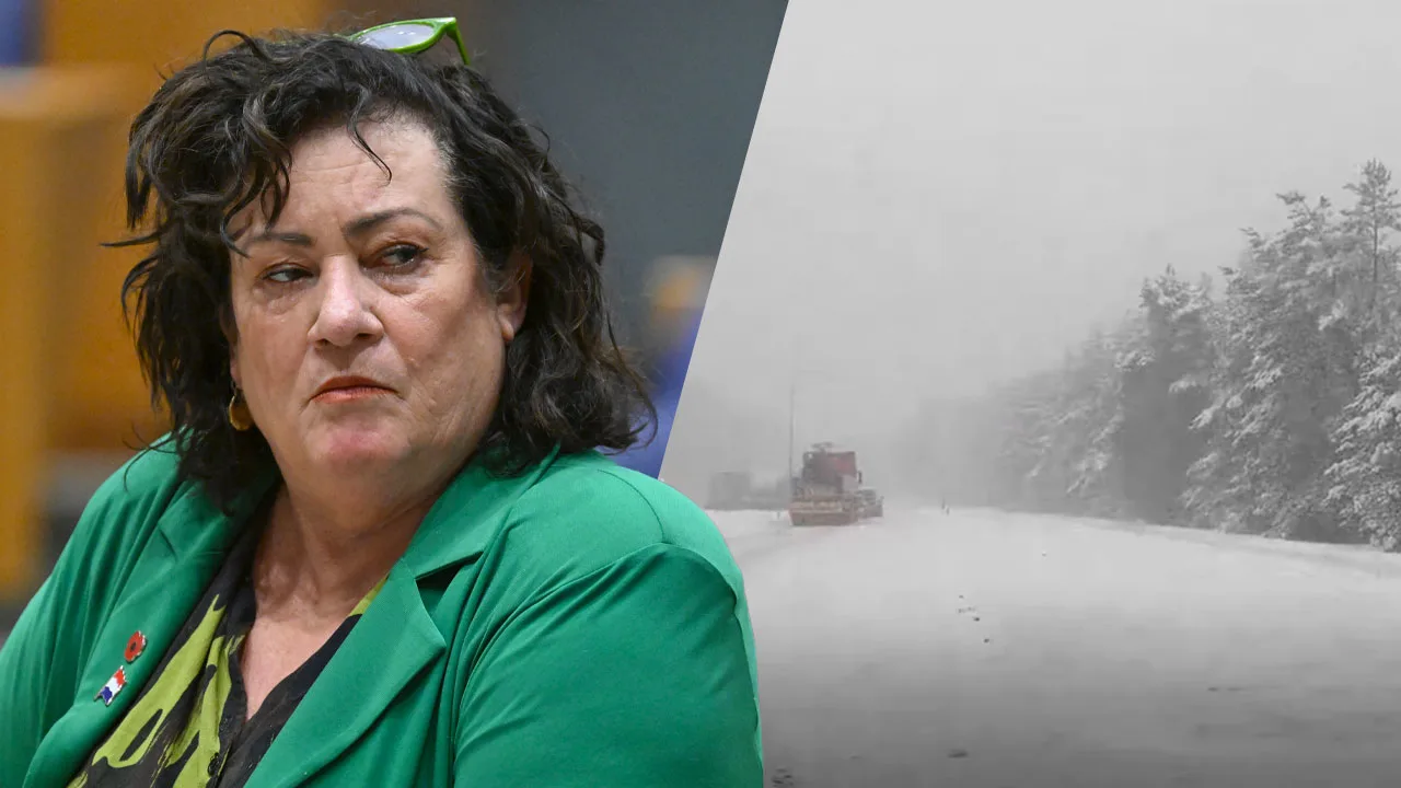 Video: Caroline van der Plas is ingesneeuwd op de Veluwe