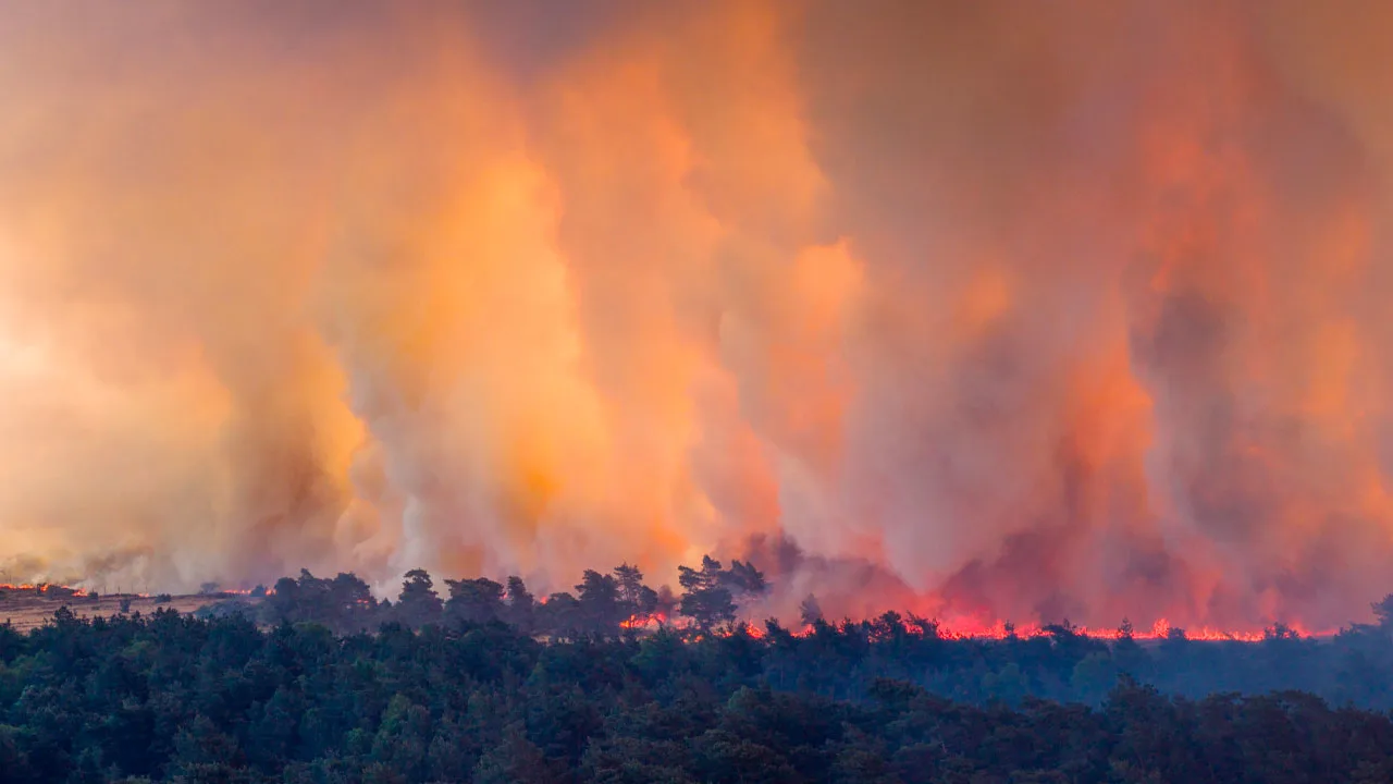 Heel Nederland op hoogste waarschuwingsniveau natuurbranden
