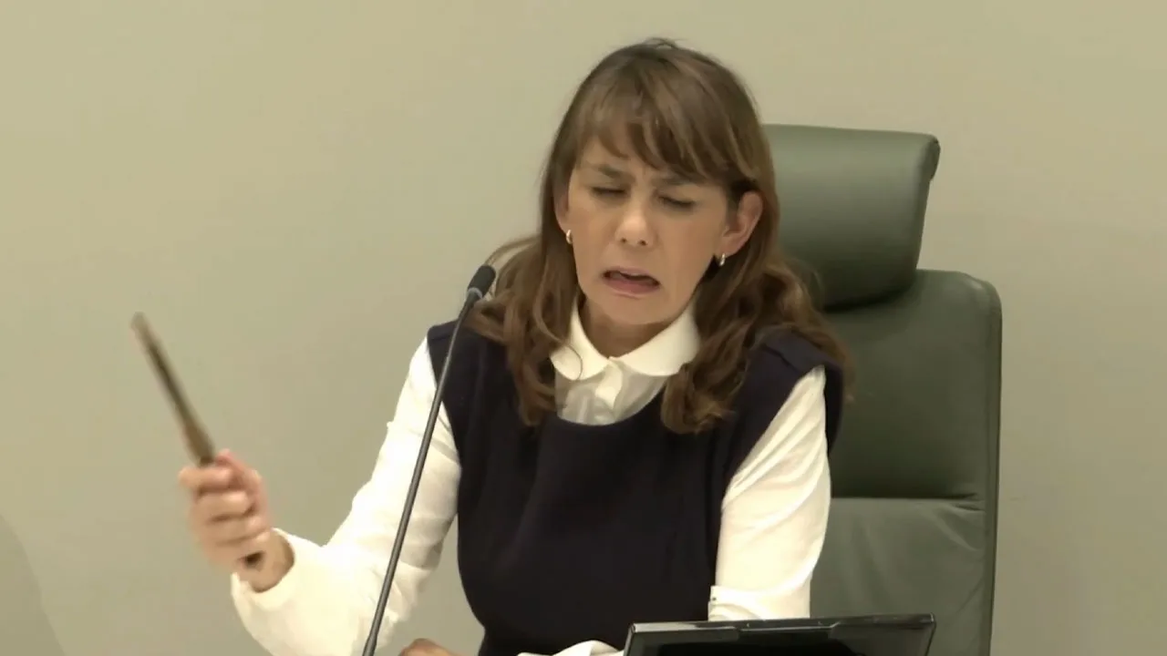 Video: Voorzitter Eerste Kamer slaat hamer kapot