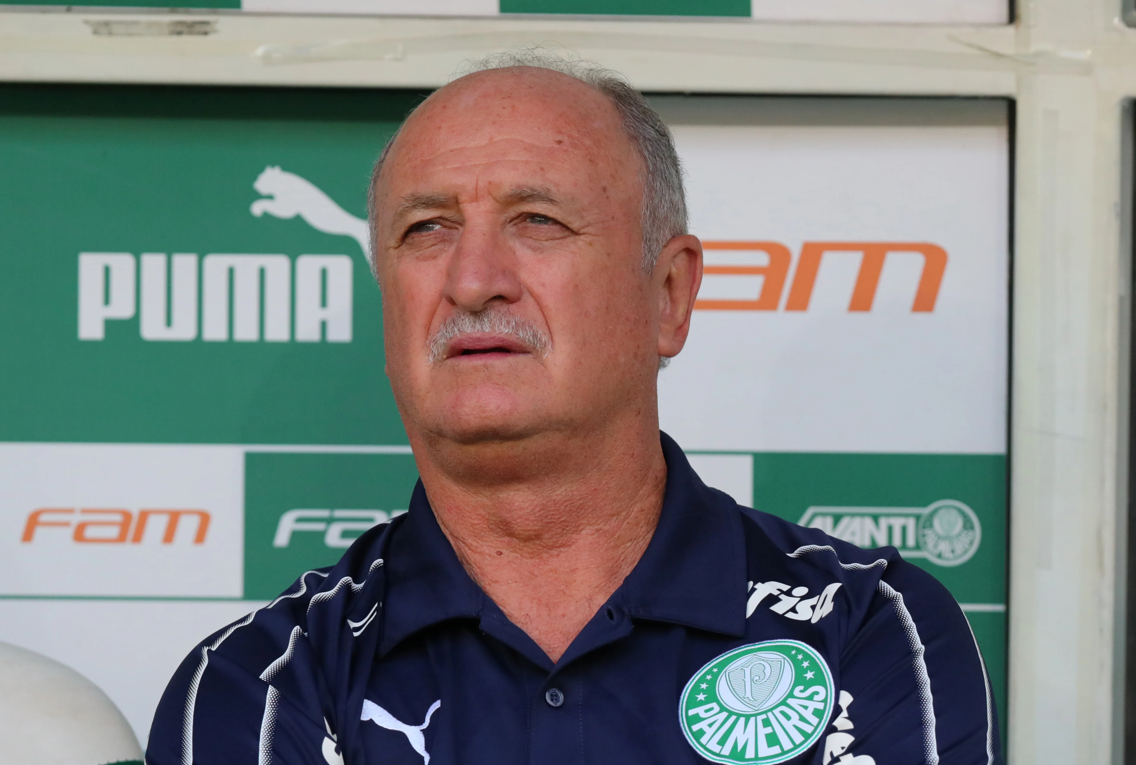 Scolari (71) krijgt er geen genoeg van en wordt trainer Cruzeiro