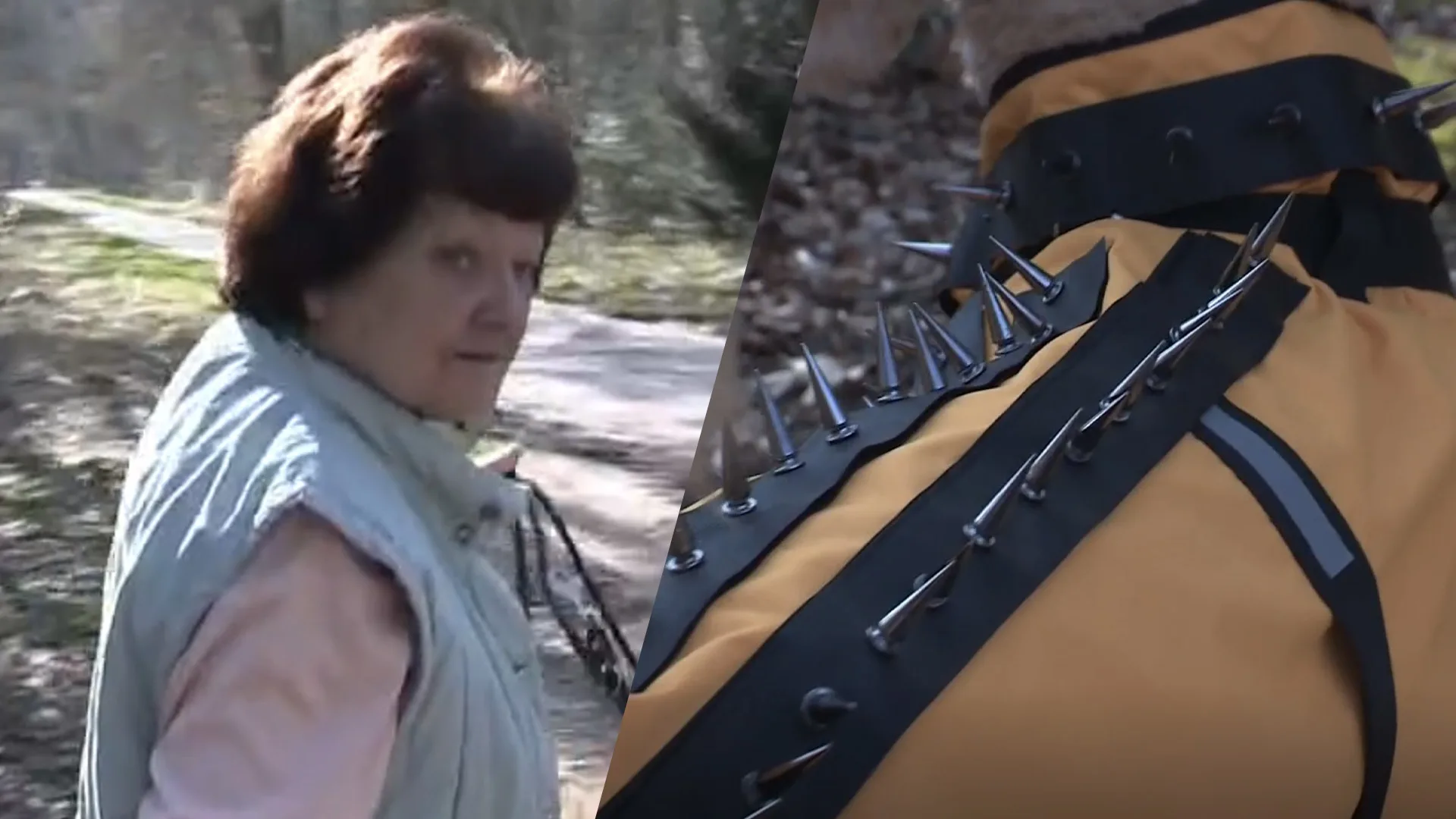 Hetty uit Epe gebruikt speciaal spijkervest om haar poedel te beschermen tegen de wolf