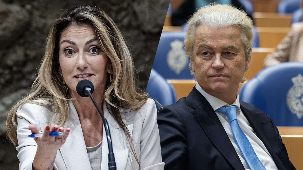 Yeşilgöz niet onder indruk van dreigement Wilders: 'Het begint een beetje sleets te worden'