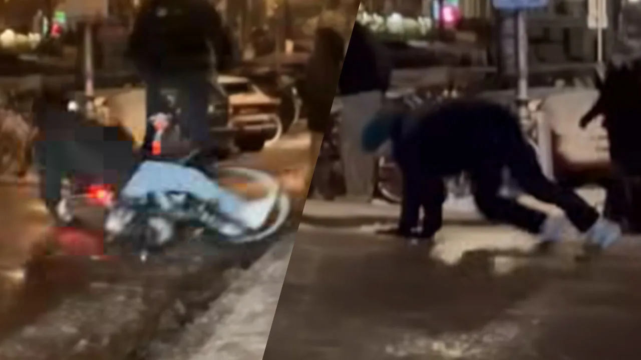 Terugblik op winterweer: komische glijpartijen op de Prinsengracht trekken ruim 30 miljoen views