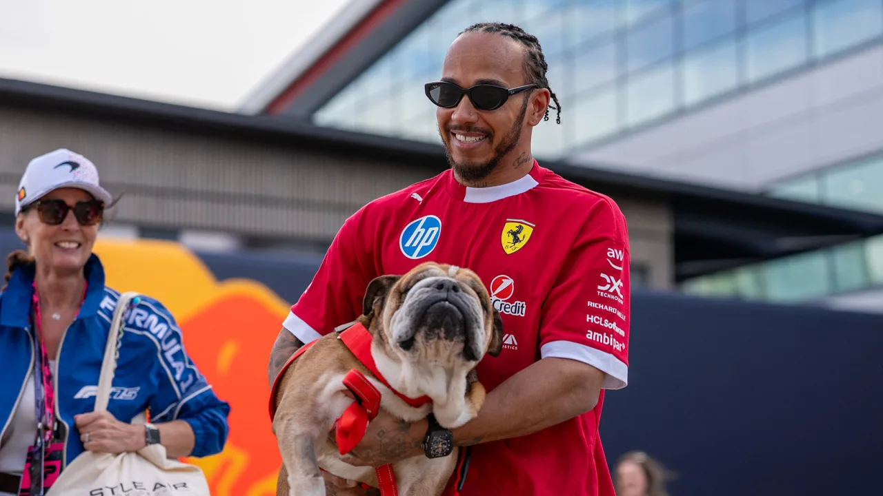 Lewis Hamilton 'overweldigd' door steun na overlijden van hond Roscoe