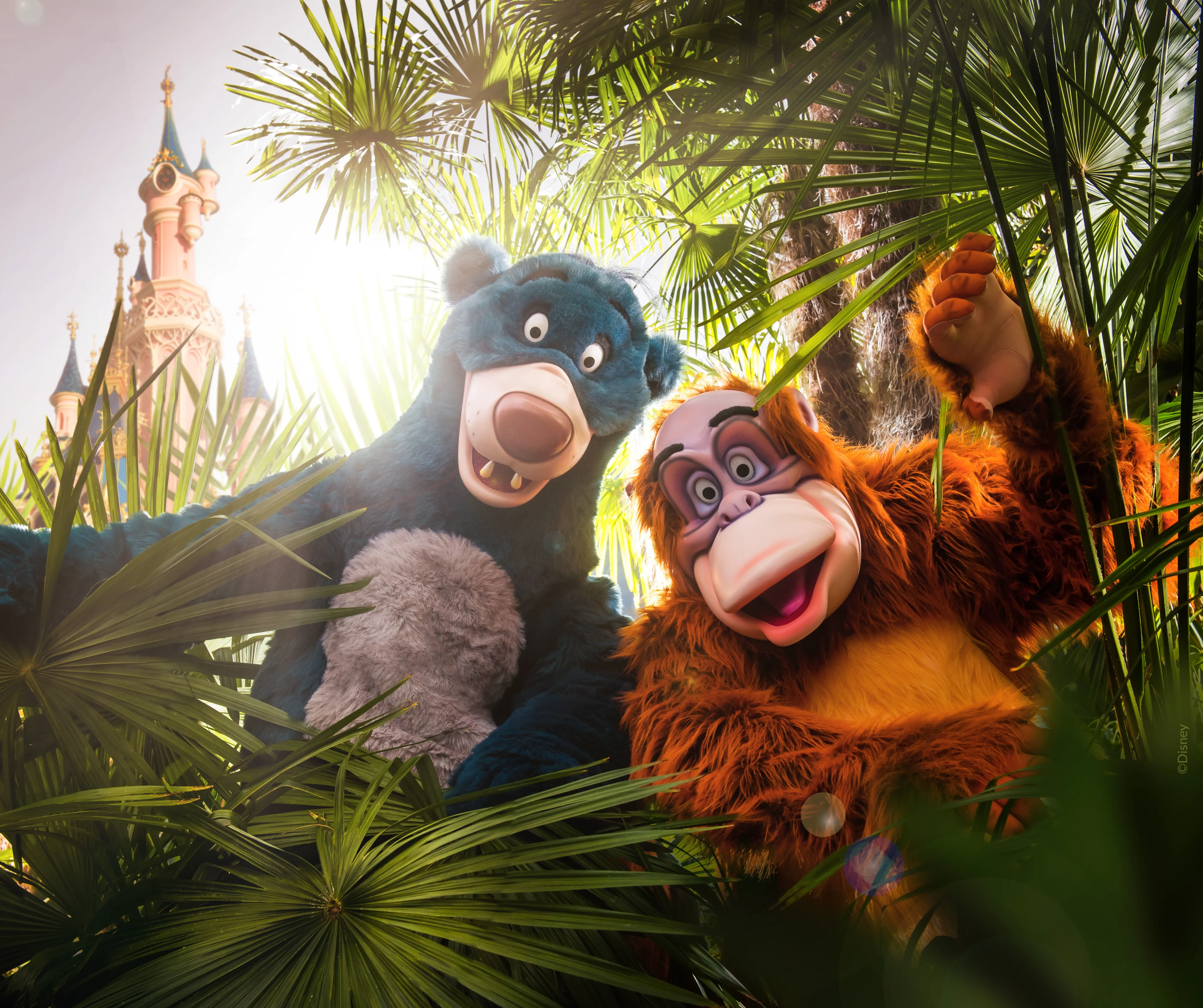 10x waarom jij naar The Lion King & Jungle Festival in Disneyland® Paris wil!