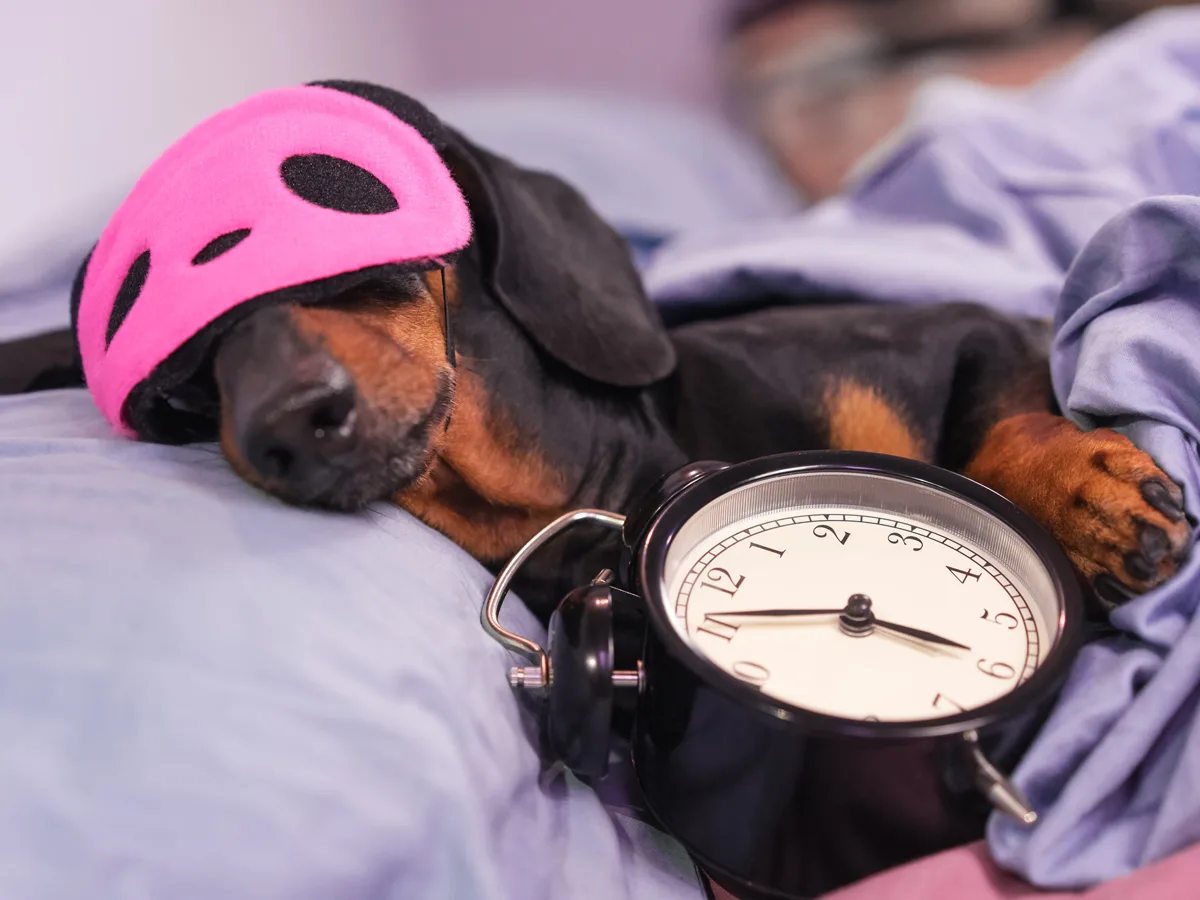 Dit is het effect van een half uur eerder (of later) naar bed gaan