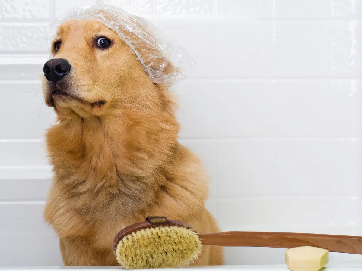 10 gedachten die iedereen heeft tijdens het douchen