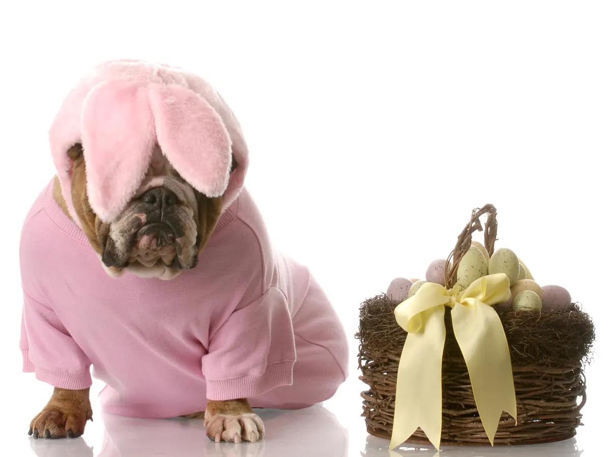 10 gedachten die iedereen heeft over Pasen!