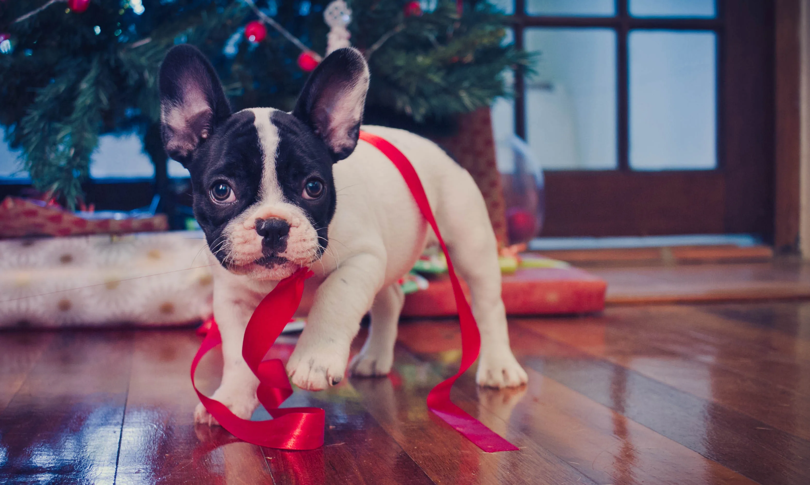 Jingle Bells! Herken jij de kersthit?