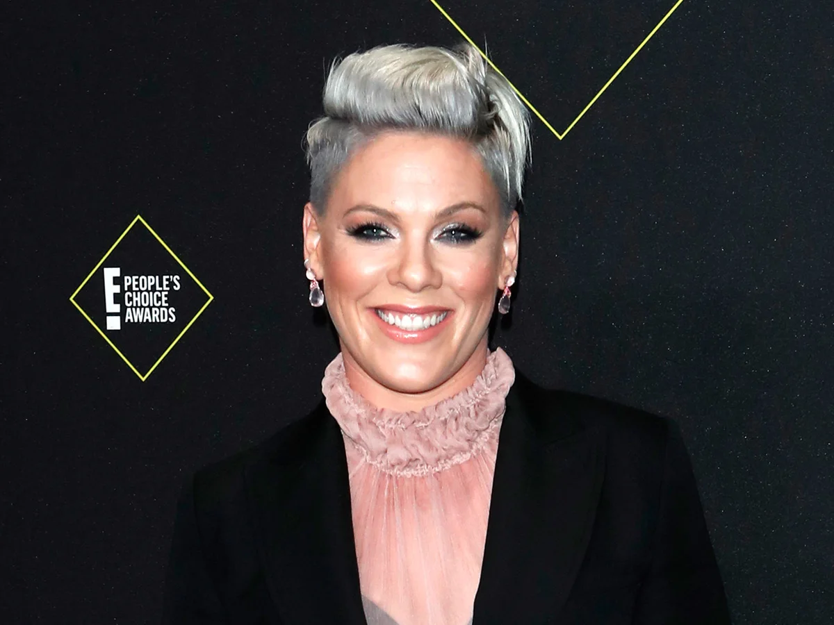 Dit zijn de grootste hits van P!nk… tot nu toe!