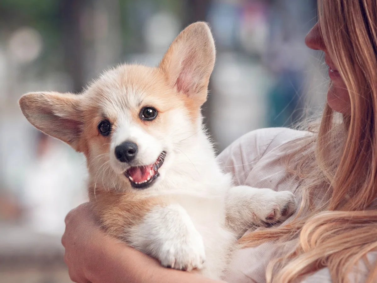 Dit is het beste huisdier voor jou op basis van je sterrenbeeld