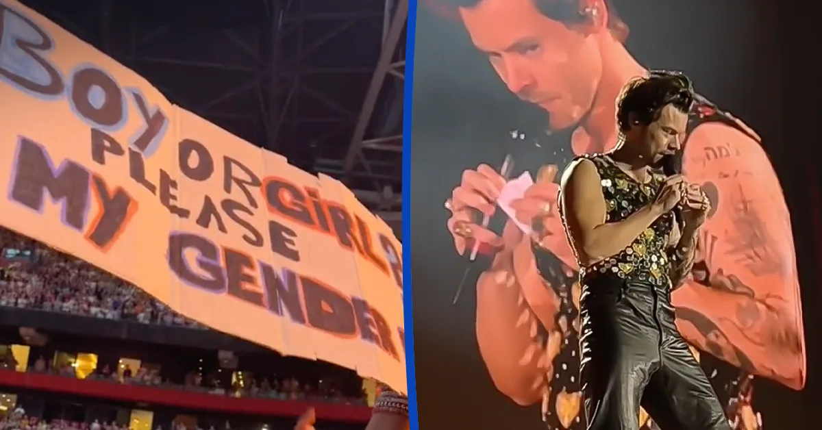 Zó zorgde Harry Styles voor onvergetelijke avonden in Amsterdam