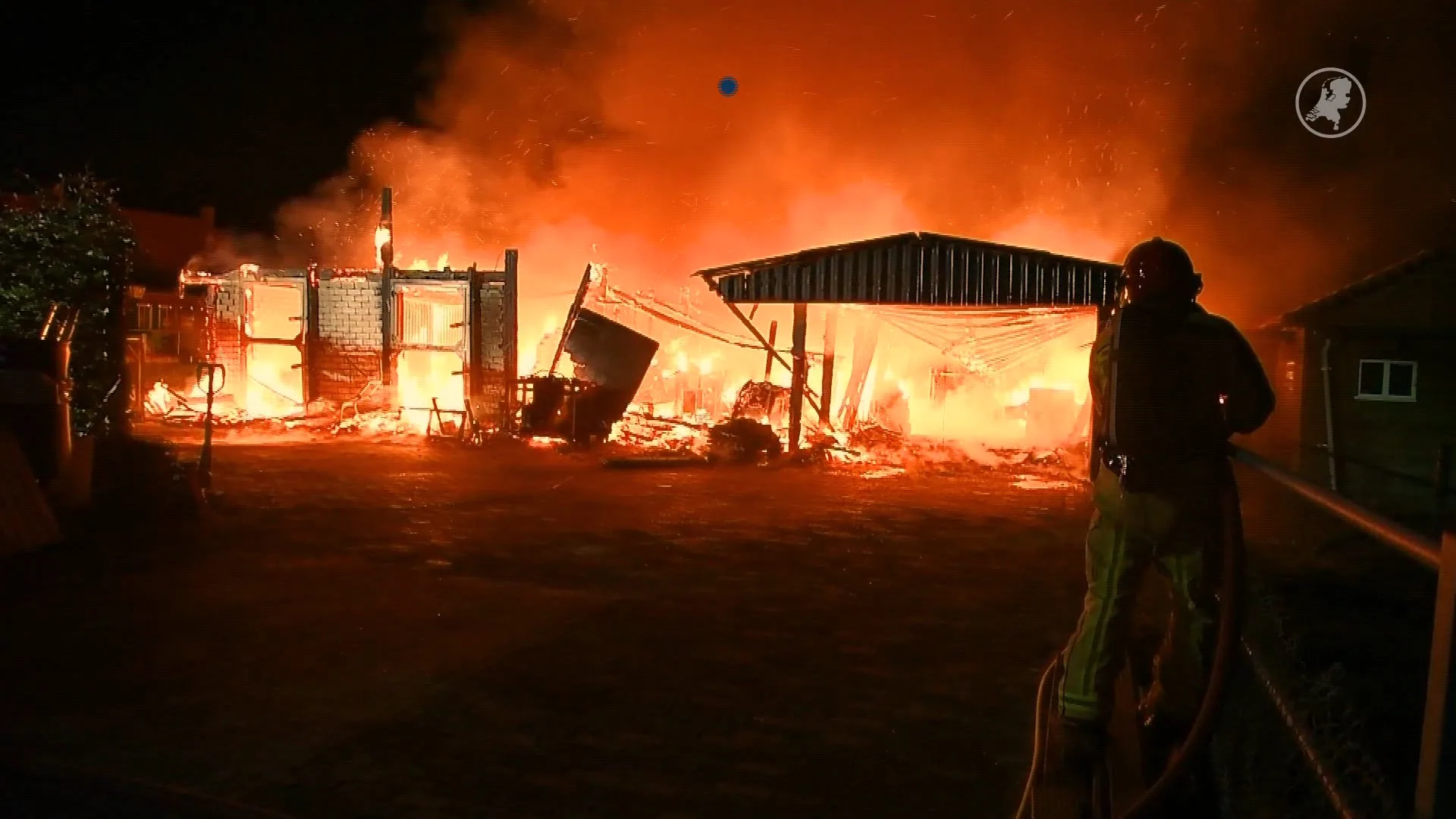 Grote schuurbrand in Brabantse Luyksgestel, varkens gered