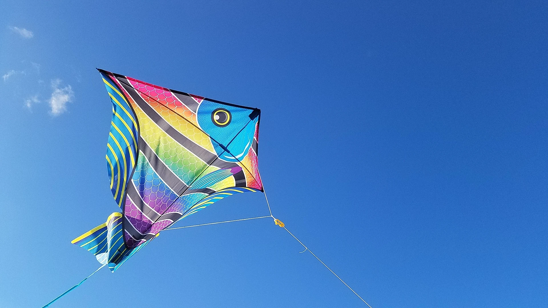Volop genieten van de zon: temperatuur loopt vandaag op naar 27 graden