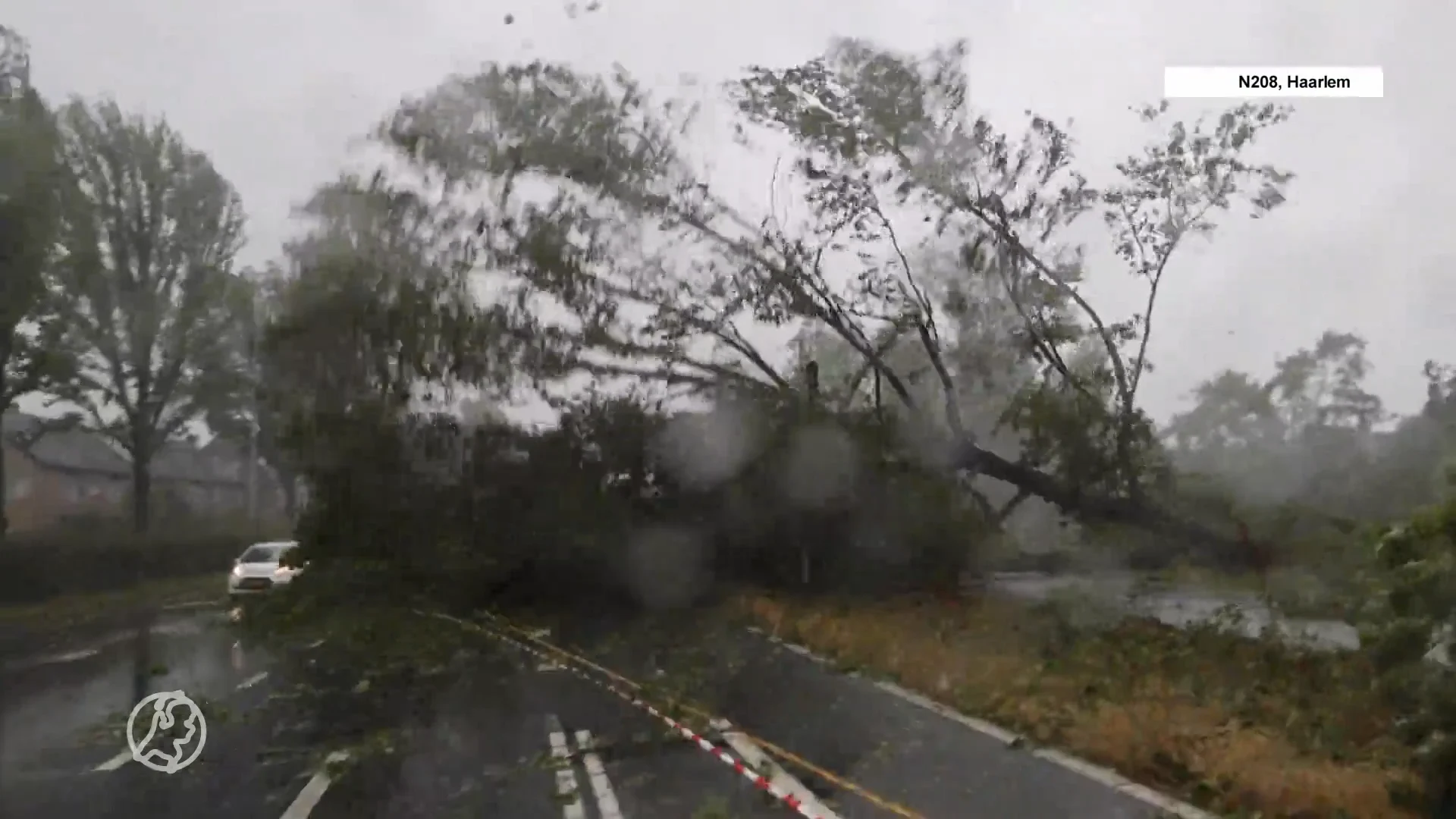 Waarschuwing voor vallende takken ondanks dat storm Poly is gaan liggen