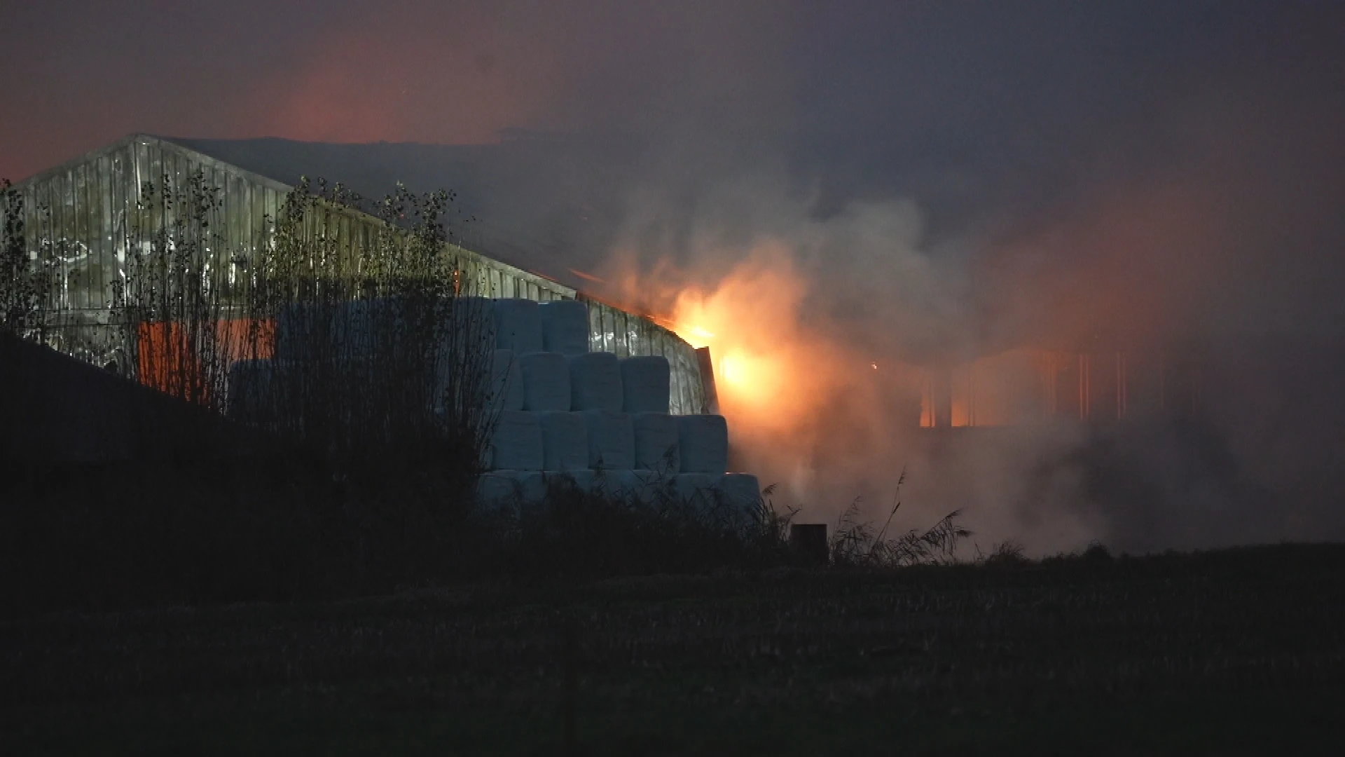Honderden geiten dood door stalbrand in Vinkel 
