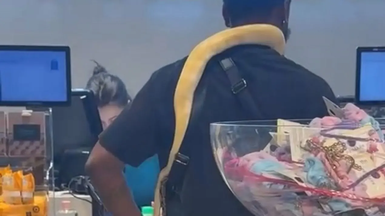 Chelsea oog in oog met slang bij kassa Primark in Rotterdam: 'Ik dacht: wat gebeurt hier?!'