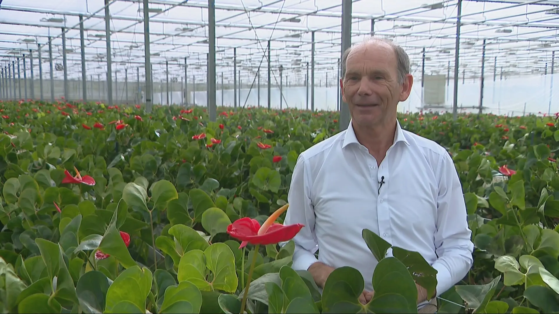 'Bedankt voor die bloemen', zal deze paus het ook zeggen?
