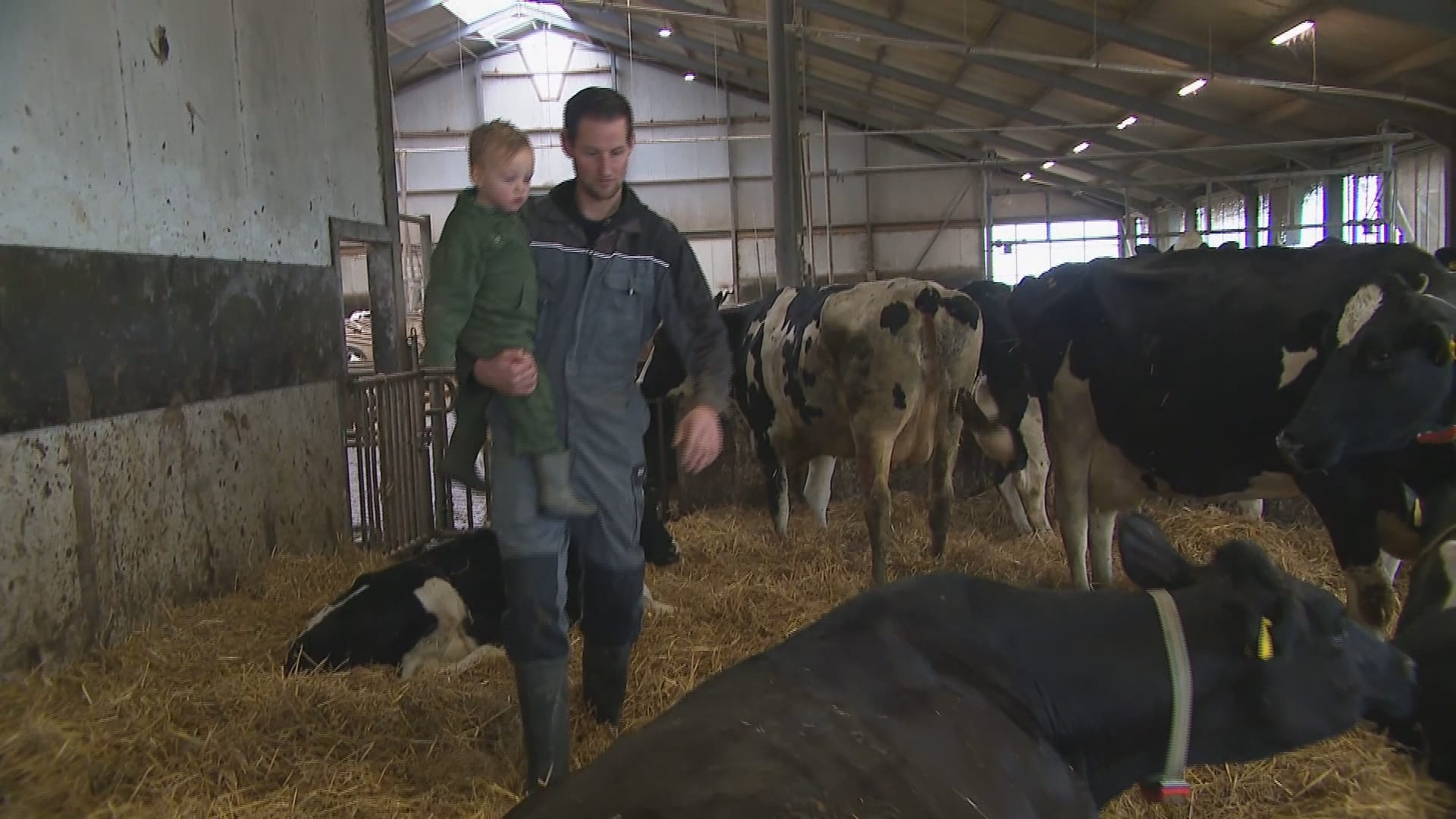 Blauwtong is een nachtmerrie voor veehouders: 'Je weet niet wat je aantreft'