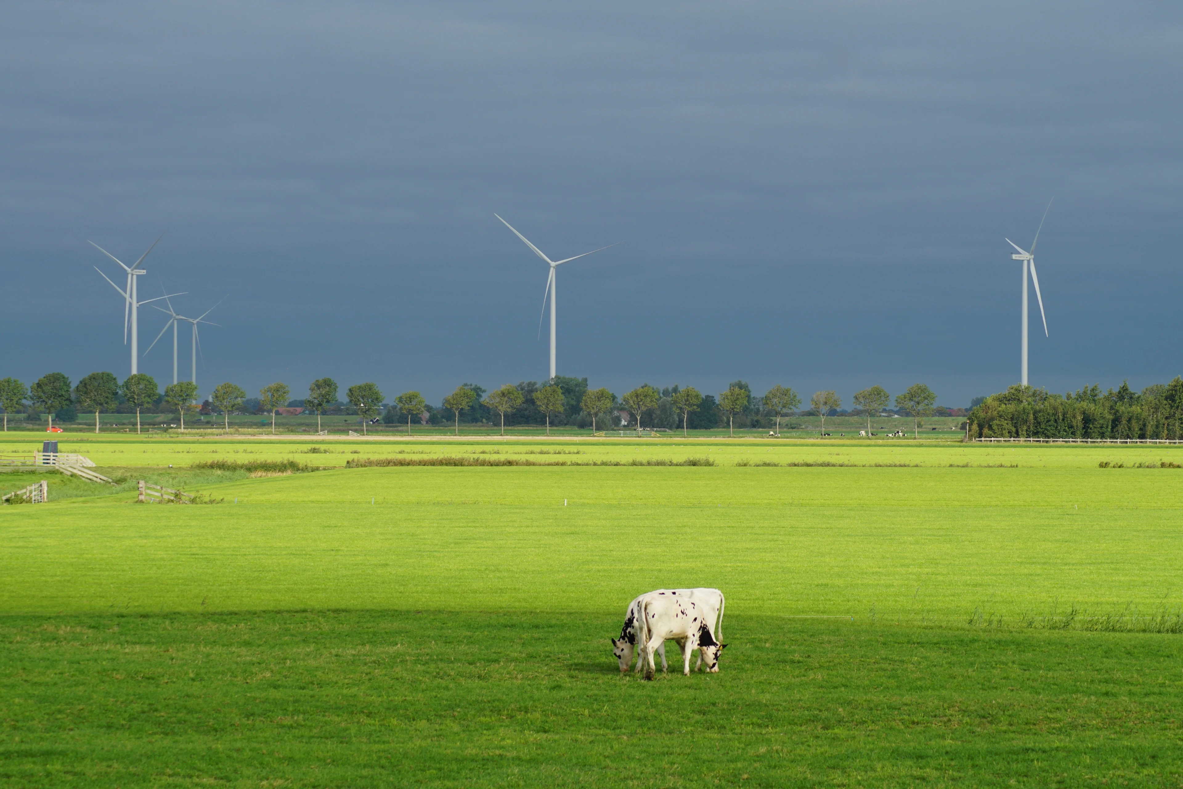 Het lijkt eerder herfst dan zomer: grijs, regen en veel wind