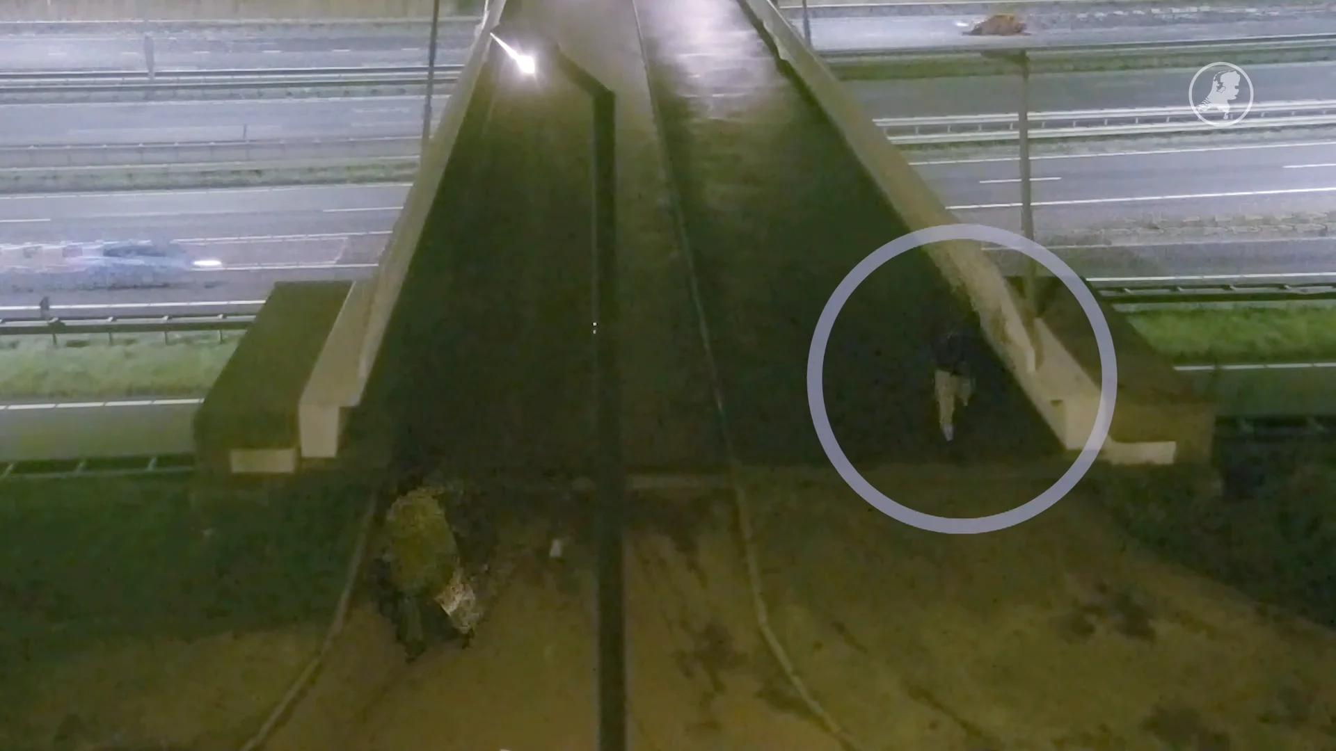 Dit weten we tot nu toe over de mogelijke seriemoordenaar in Rotterdam