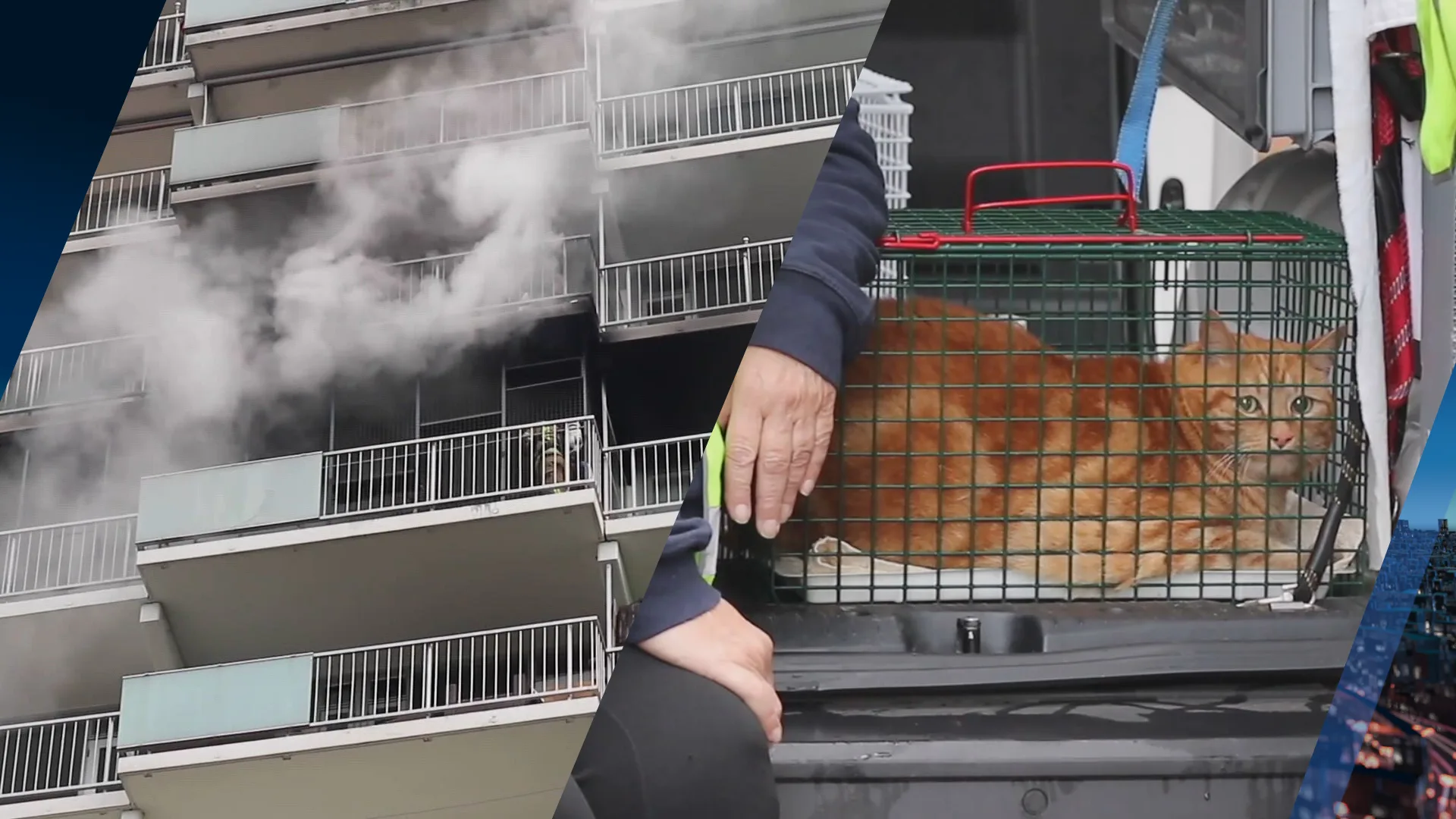 Kat Garfield gered bij grote woningbrand in flat Maassluis