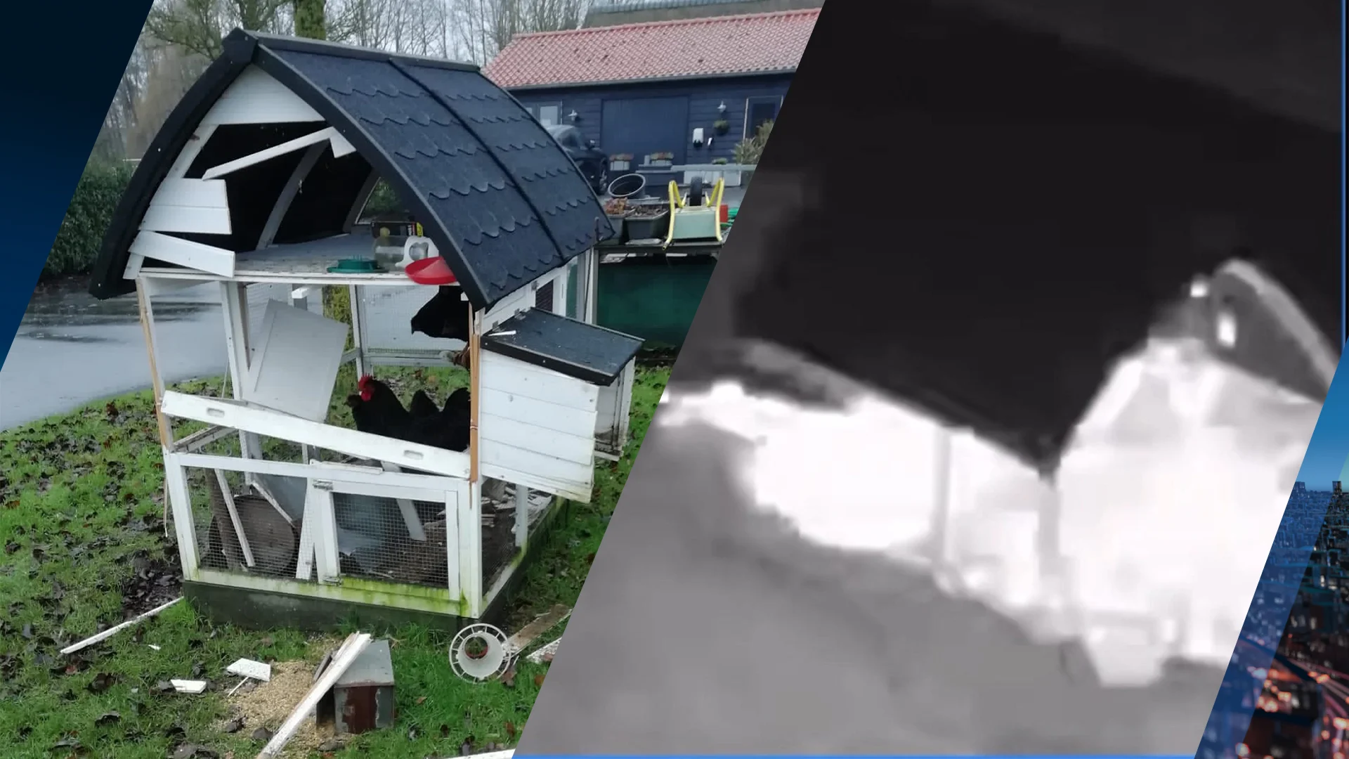 Kippenhok van Annely opgeblazen door zwaar vuurwerk: 'Kip is verschroeid'