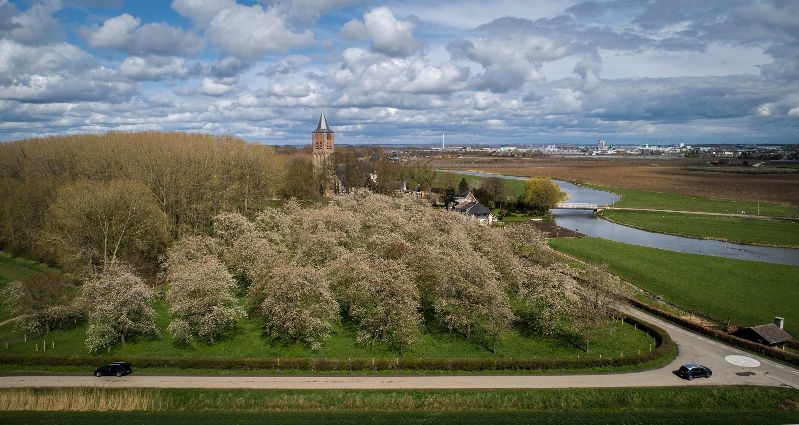 Het koude weer houdt nog even aan, maar de lente lonkt