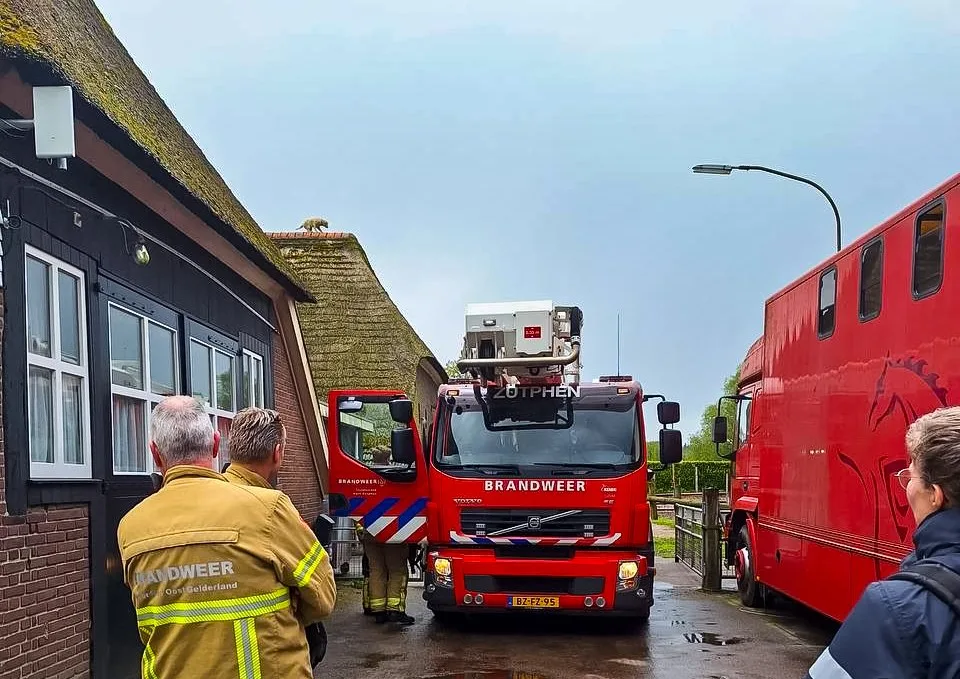 Hond Caja klimt op dak en durft er niet meer af, brandweer schiet te hulp