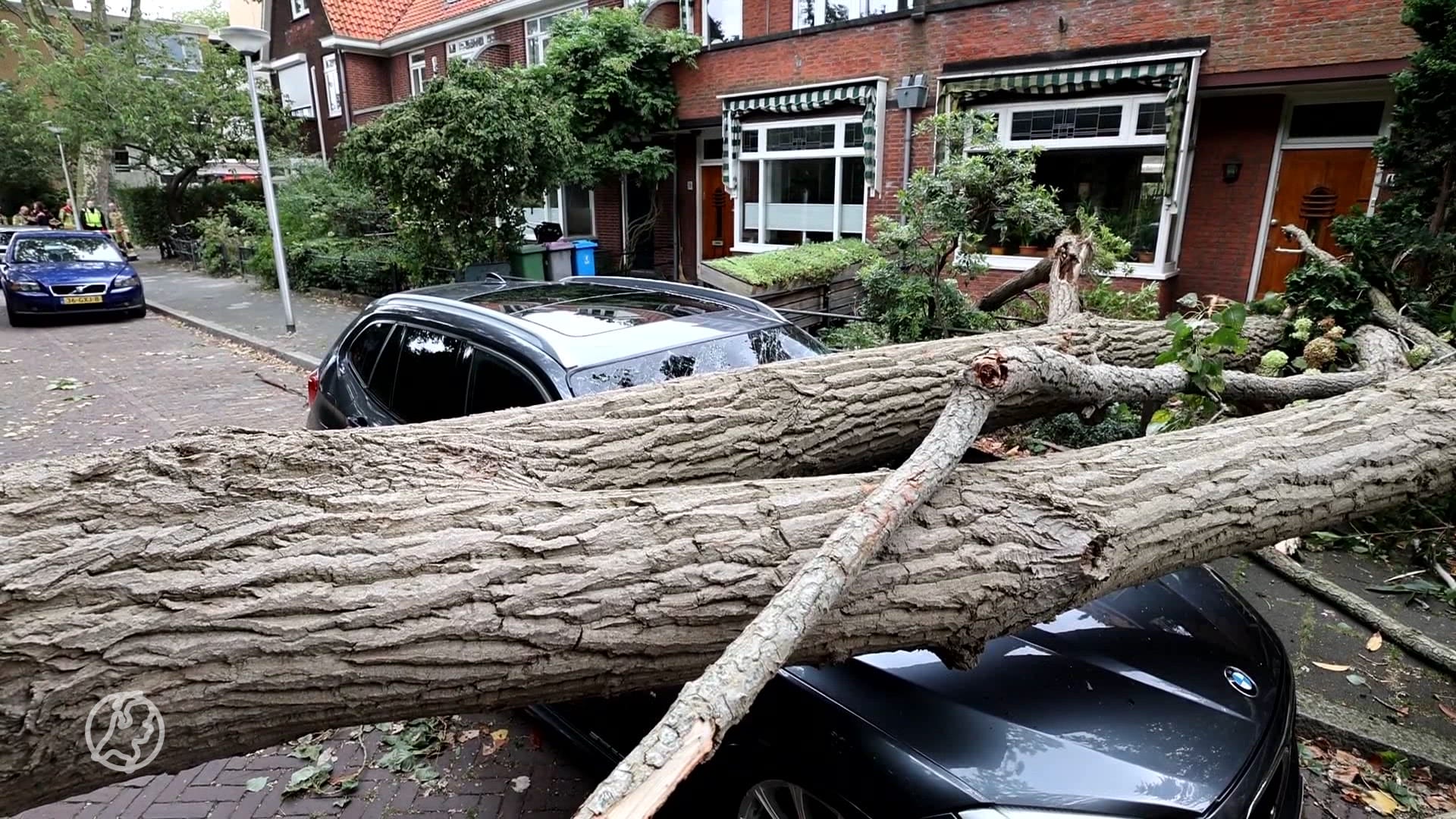 Omvallende boom zorgt voor ravage in woonwijk, auto's en huizen beschadigd
