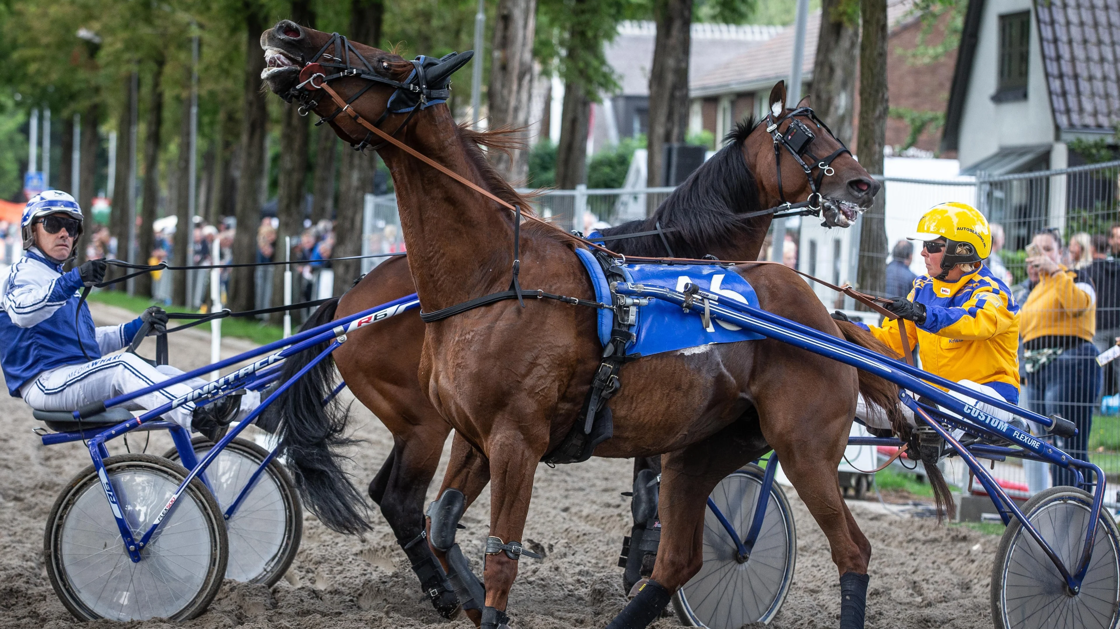 Dier&Recht wil verbod op drafwedstrijden: 'Nog veel mishandeling'
