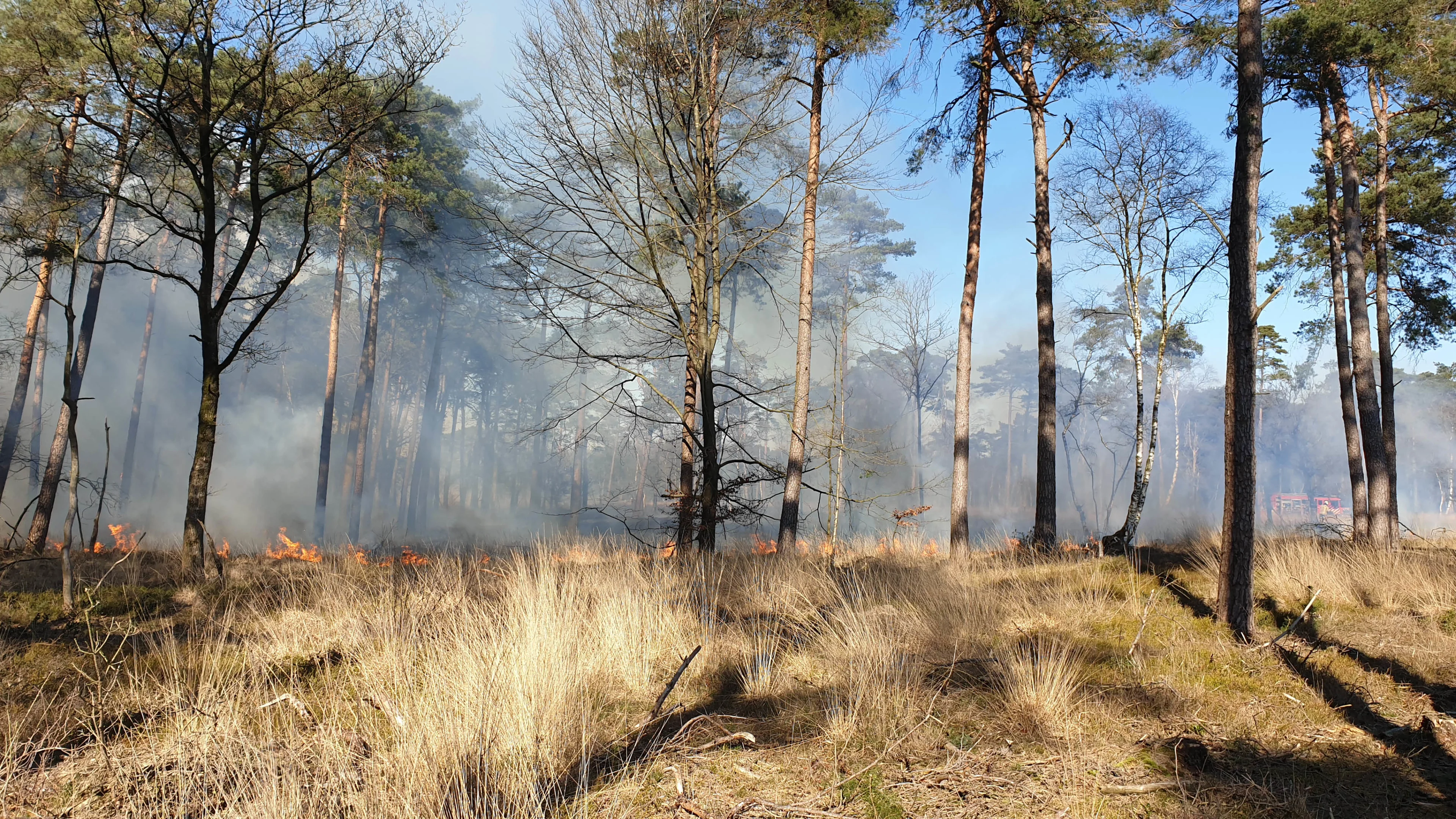 Grote natuurbrand geblust in Drentse Mensingebos